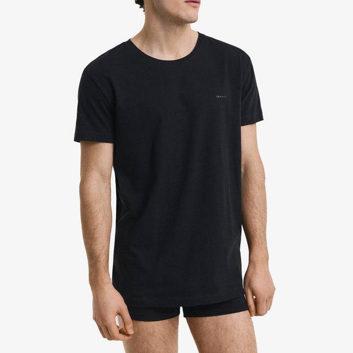 C-NECK T-SHIRT 2-PACK