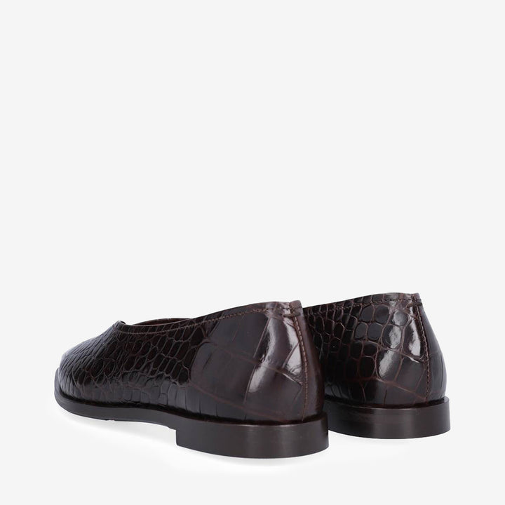 Brown kissa croco