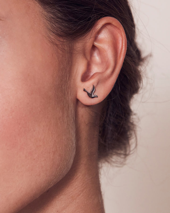 Dove Studs Steel