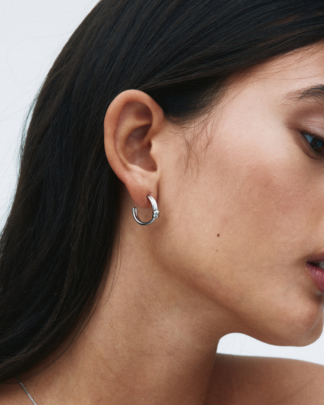 Swivel Hoops Steel