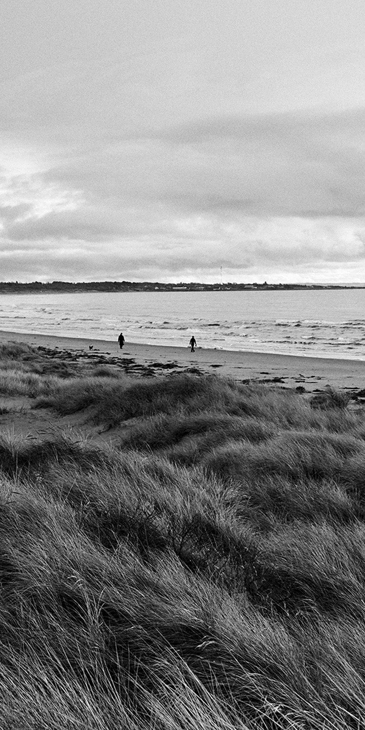 Cesar Equipment Coast Culture – kläder vid kusten