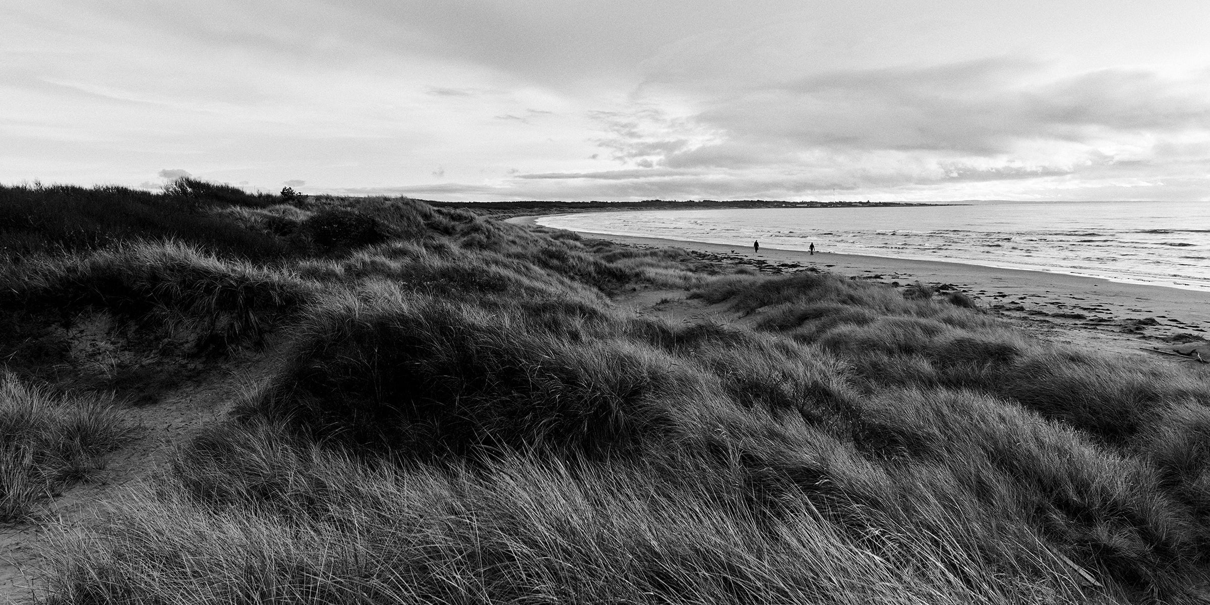 Cesar Equipment Coast Culture – kläder vid kusten