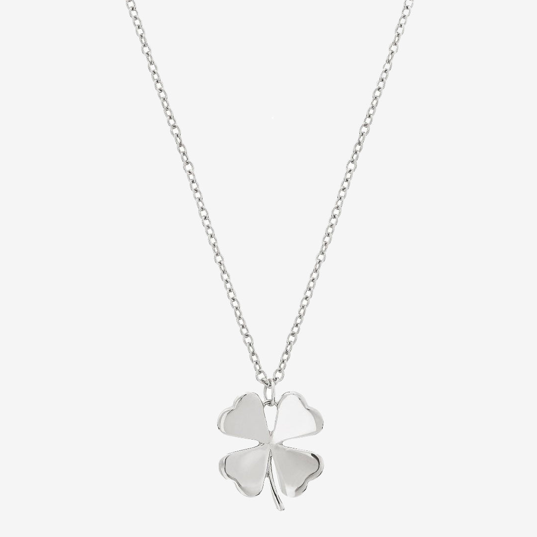 Lucky Necklace Steel